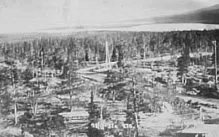 Фото Вырубка площадки под строительство к-та Североникель